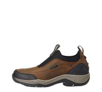 Chaussures d'écurie femme Ariat Terrain Ease H2O Marron 38