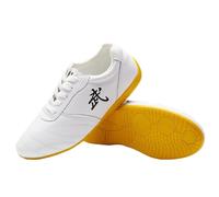 Chaussures d'entraînement antidérapantes pour Hommes et Femmes, idéales pour Les Arts Martiaux, Tai Ji, Kong Fu, Boxe, karaté, Taekwondo, Qi Gong et Wing Chun