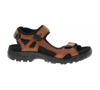 Chaussures ECCO Offroad Sierra - Homme - Cuir - Lacets - Marron 46