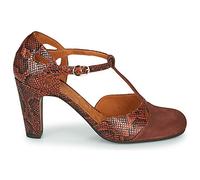 Chaussures escarpins femmes Chie Mihara KUNA Marron 35