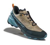 Chaussures Dynafit Transalper 2 GORE-TEX gris clair bleu - 45