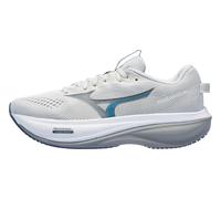 Chaussures Homme Mizuno Wave Rider 30 Foggy Dew/Dark Slate 43.0