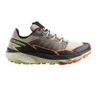 Chaussures homme Salomon Thundercross Taille de chaussures (UE): 44 / Couleur: beige