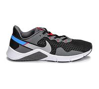 Chaussures hommes Nike LEGEND ESSENTIAL 2 Gris 47