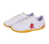 Chaussures Kung Fu Kwon,Arts Martiaux Kung Fu Baskets Canvas,Chaussures de Sport Tai Chi Léger Non Slip Homme Femme Chaussures de Taekwondo(Size:32(19cm),Color:Blanc)