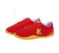 Chaussures Kung Fu Kwon,Arts Martiaux Kung Fu Baskets Canvas,Chaussures de Sport Tai Chi Léger Non Slip Homme Femme Chaussures de Taekwondo(Size:29(17.5cm),Color:Rouge)