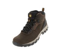 Columbia NEWTON RIDGE PLUS II WATERPROOF Chaussures Montantes De Randonnée Et Trekking imperméables Homme, Marron (Cordovan x Squash), 41 EU