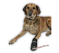 Bottes de Protection Trixie Walker Care Noir - S