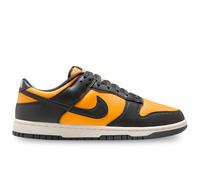 Chaussures Nike Dunk Low Retro HF5441-700 - 9M