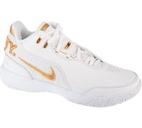 Chaussures Nike Lebron Nxxt Gen FJ1566103