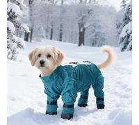 Chaussures pour chien avec manteau - Vêtements d'hiver imperméables - Pour neige et froid - Respirantes et chaudes - Avec bandes réfléchissantes - Protection des pattes pour la promenade (B, 2XL)