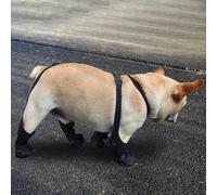 Chaussures pour Chien | Bottes Anti-Dérapantes pour Pattes | Jambières Imperméables pour Chiens de Petite à Grande Taille pour Promenades, Randonnée, Voyage et