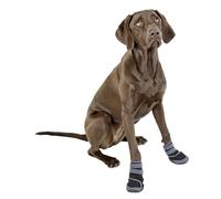Chaussures pour chien Kerbl Active Gris M