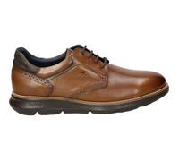 Fluchos F1351 Habana Camel+COM.2 William (43)