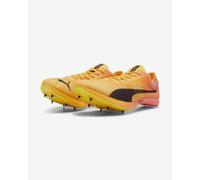 Puma evoSPEED Distance Nitro Elite+ 4 - homme - orange