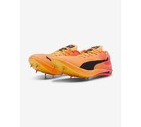 Chaussures Puma evoSPEED Long Distance NITRO Elite orange noir rose - 40.5