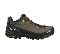 Salewa Chaussures Alp Trainer 2 GORE-TEX gris Taille 45