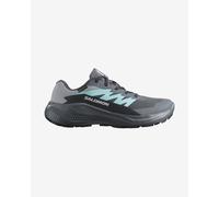 Chaussures Salomon Alphaglide GORE-TEX gris foncé femme - 36