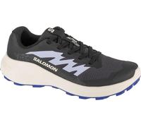 Chaussures Salomon Alphaglide W L47801800