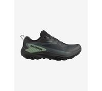 Chaussures Salomon Genesis GORE-TEX noir vert - 46