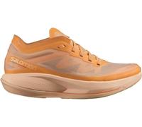 Chaussures Salomon L41610500