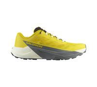 Chaussures Salomon Pulsar Jaune Noir AW25, Taille EU 46 2/3