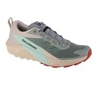 Chaussures - SALOMON Sense Ride 5 - Gris, Beige - Homme - Trail - Régulier 43 1/3