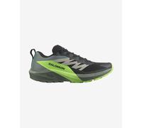 Chaussures Salomon Sense Ride 5 noir vert laurier - 44(2/3)