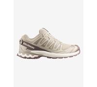 Chaussures Salomon XA PRO 3D v9 Lifelong gris clair beige - 48