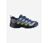 Salomon Chaussures De Randonnée Xa Pro V8 Wp