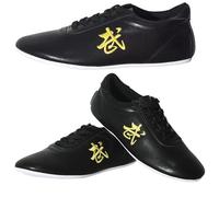 Chaussures Sports Tai Chi Arts Martiaux, Homme Chaussures pour Kung Fu Wushu Qi Gong, Respirant Femmes Baskets de Taï-Chi Kong Fu D'EntraîNement Taekwondo Boxe(Size:45EU,Color:E)