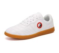 Chaussures Taichi Kong Fu pour Hommes - Chaussures Respirantes pour Arts Martiaux, Marche, Taekwondo, Exercices en Plein air, Qi Gong et Wing Chun