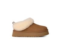 Chaussures UGG W TAZZELLE (CHESTNUT) Femme 41