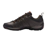 Chaussures Woodburn II Waterproof Columbia - Cordovan 47