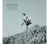 Chauveau Sylvain - Down to Be Bone