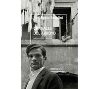 Chavales del arroyo: Biblioteca Pasolini