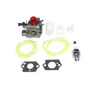 Chchwing Carburateur pour Poulan FL25 PT17 PT3000 TE450 TE450CXL PP110 PP113 S17DE Weed Eater 25HO Featherlite Featherlite SST25HO FL21