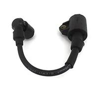 Chchwing Hidea Bobine d'allumage 2,5 HP 2,5 F T2.5 pour moteur 2.5F-01.03.01.0 Accessoires de rechange