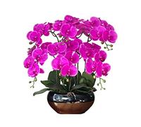 CHCWR Faux Purple Phalaenopsis Orchid, Orchidées Papillon avec Pot de Fleurs en céramique, Beaux bonsaï de Fleurs artificielles pour décoration de Maison/Bureau/Salle de réunion/Table Centrale de