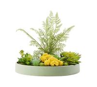 CHCWR Plantes artificielles intérieures de Fleur Artificielle Moderne Fausse Fleur de Fleur de Fleur de Fleur Artificielle, Mini Artificiel bonsaï Table Basse Table Basse hôtel décoration de Plante