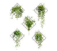 Chdnhe Cadre mural végétal artificiel - Art de décalque de mur de artificielles,Mini fausses pour chambres d', arrière-plans de canapé, salons, chambres à coucher