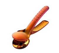 CHDWEY Casse-noisette manuel rapide en acier inoxydable - Pince à châtaignier dorée - Pince à noix en métal - Outil de cuisine (B)