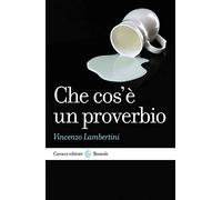 Che cos'è un proverbio