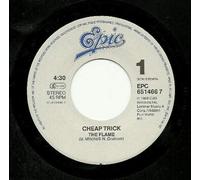 Cheap Trick - The flame - Through the night