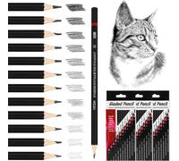 Checarzhn--No1-36 Crayons De Dessin Professionnels Avec 8b 7b 6b 5b 4b 3b 2b B Hb F H 2h ¿ Idéal Pour Artistes Débutants, Étudiants Et Professionnels ¿ Crayons Graphite Pour Croquis, Doodle Et Travau