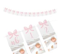 Checarzhn--No1-Bannière Photo De 12 Mois, Bannière Photo Avec N?Ud Rose Décorations D'anniversaire Avec N?Ud Pré-Assemblées Avec Adhésifs Bannière Photo Avec N?Ud Pour Premier Anniversaire