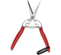 CHECARZHN--NO1-Bonsaï, Outil De Sécateur À C aux De Jardin Pour Récolter Des Raisins, Des Agrumes, Etc.(Straight, 12)