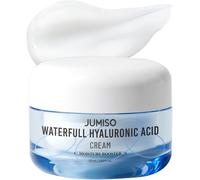 Checarzhn--No1-Crème Hyaluronique Waterfull 50 Ml