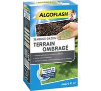 CHECARZHN--NO1-Semence Gazon Terrain Ombragé, 900G, Semto1, Bleu