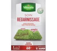 CHECARZHN--NO1-Soin Regarnis Universel 2 En 1 - Semences De Gazon + Fortifiant Naturel - Rénovation Facile Des Gazons Abîmés - Levée Rapide - Enracinement Profond - Pour Tous Types De Gazons - 1 Kg